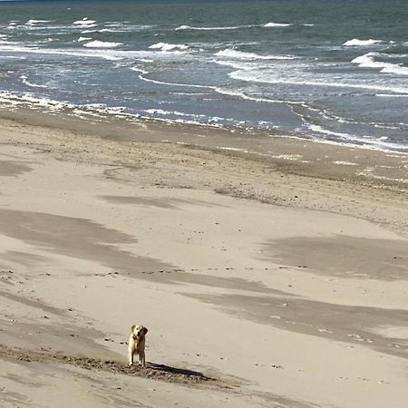 Natur Pur, O4 Neues Ferienhaus Natureingebunden, Familien- Und Hundefreundlich Eingezaeunt Callantsoog Buitenkant foto