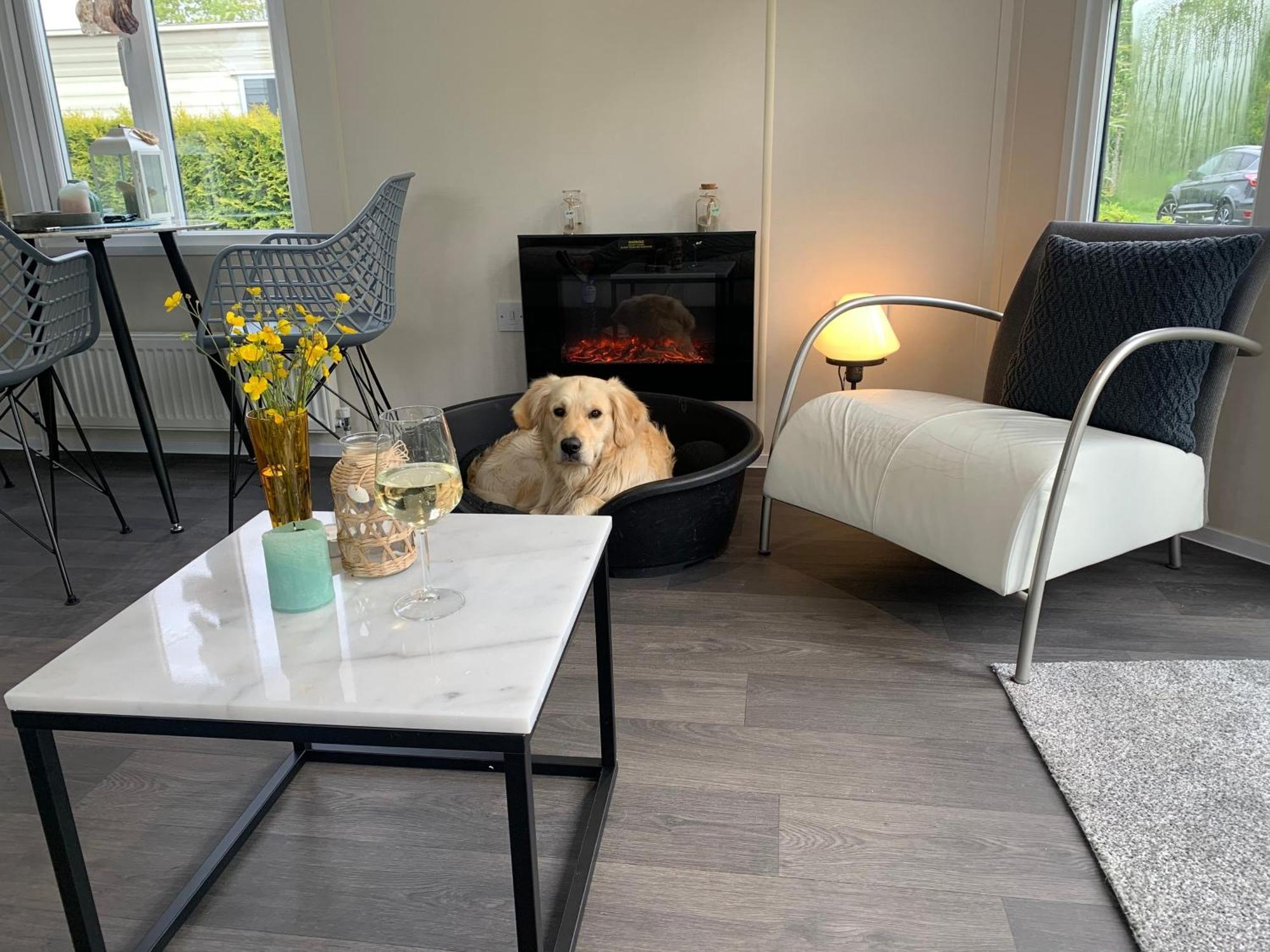 Natur Pur, O4 Neues Ferienhaus Natureingebunden, Familien- Und Hundefreundlich Eingezaeunt Callantsoog Buitenkant foto