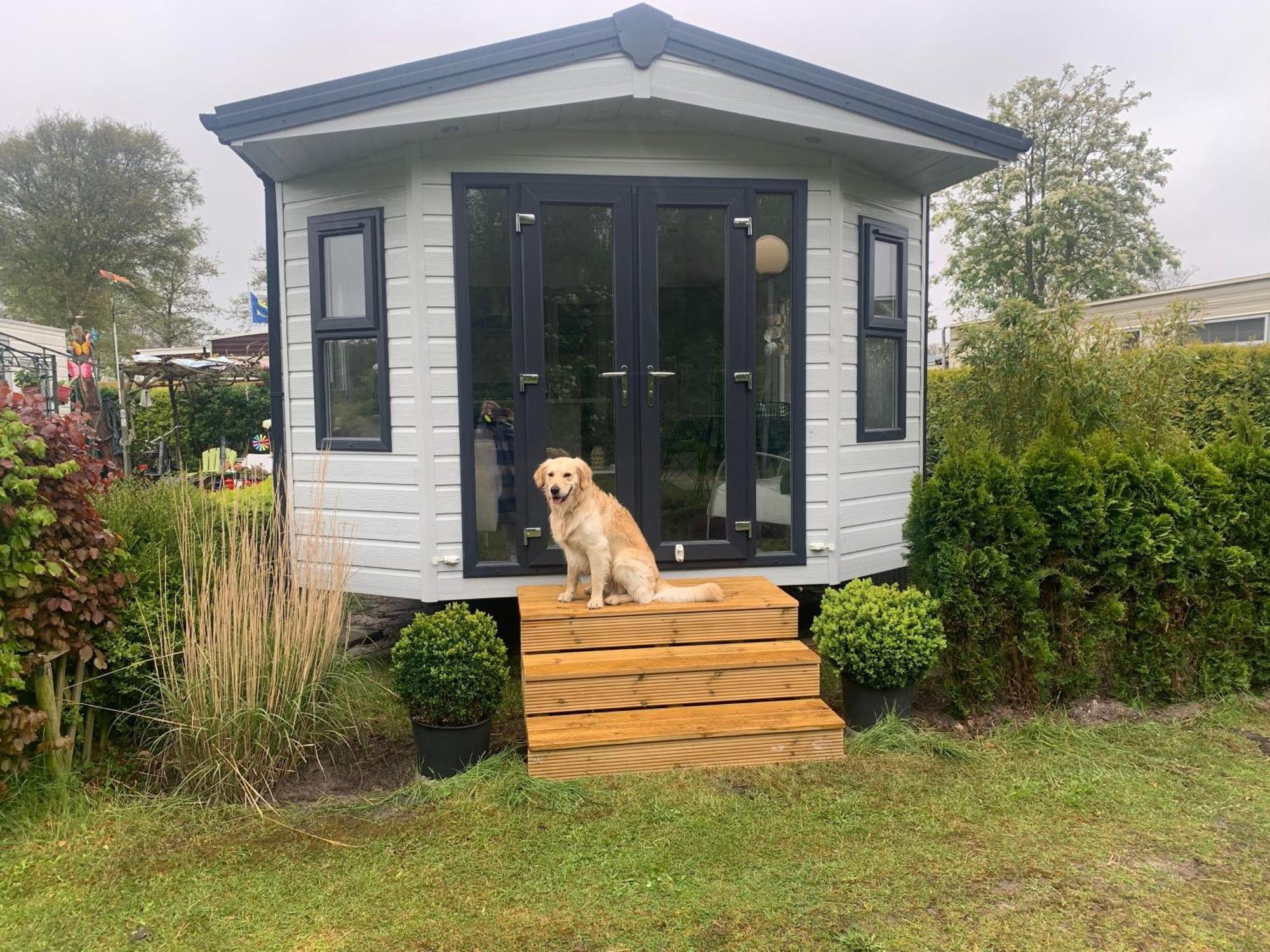 Natur Pur, O4 Neues Ferienhaus Natureingebunden, Familien- Und Hundefreundlich Eingezaeunt Callantsoog Buitenkant foto